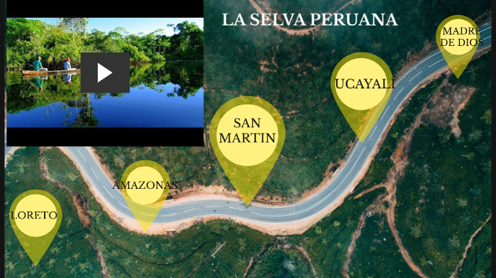 LA SELVA PERUANA by clever eliseo jimenez carranza
