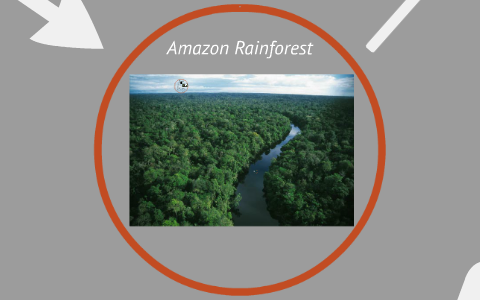 Amazon Rainforest by J M on Prezi