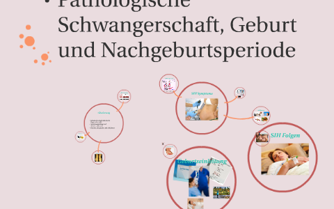 Pathologische Schwangerschaft Geburt Und Nachgeburtsperiode By