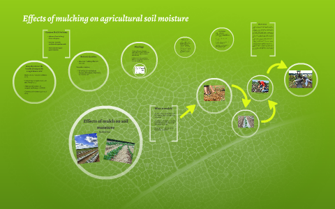 Effects of mulch on soil moisture by Kyle Farr on Prezi