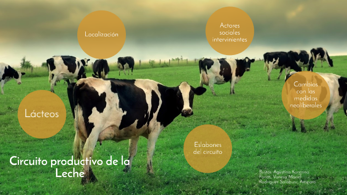 Circuito Productivo De La Leche By Amparo Rodriguez On Prezi