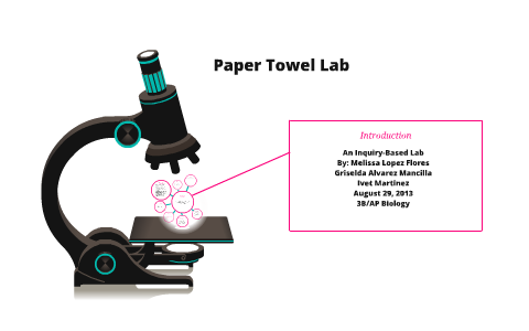 paper towel lab