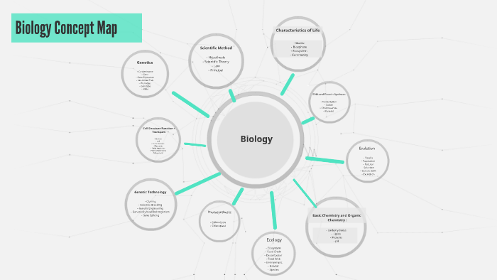 characteristics of life concept map Biology Concept Map By Shana Dansereau On Prezi Next characteristics of life concept map