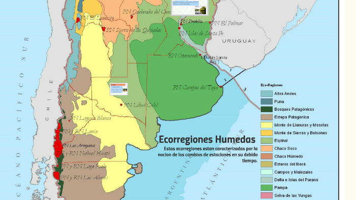 Ecorregiones Humedas by Abril Lattuca on Prezi