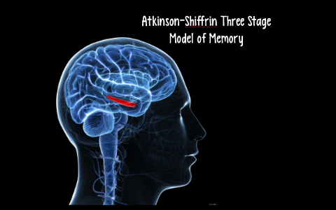 stage model of memory