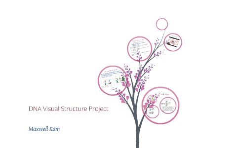 DNA Visual Structure by Maxwell Kam on Prezi