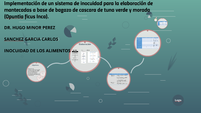 Implementación de un sistema de inocuidad para la elaboració by Angel ...