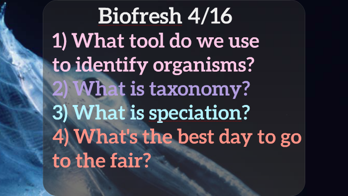 Evolution essay topics picture