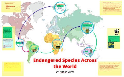 Endangered Species Across the World by Mariah Griffin on Prezi
