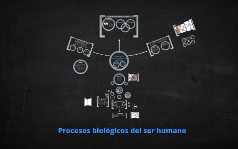 Procesos biológicos del ser humano by Paola Mederos on Prezi