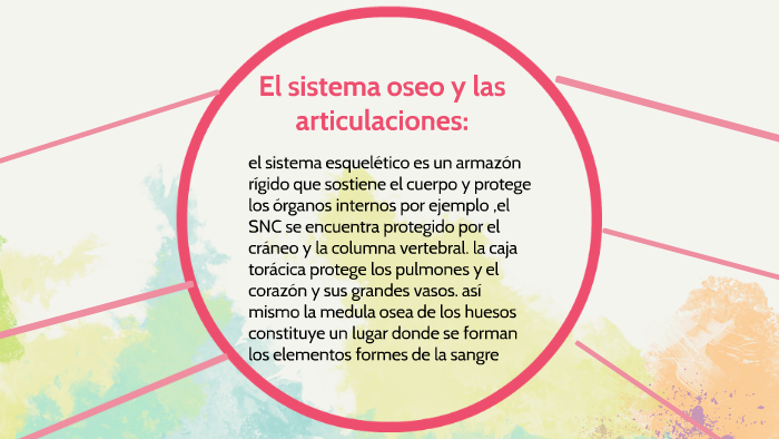 Que organo protege la caja toracica