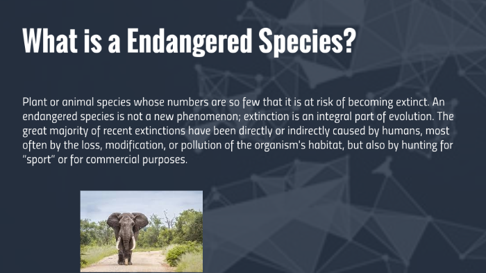 endangered species by Jonathan Cruz on Prezi