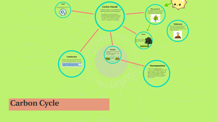 Carbon Cycle by on Prezi