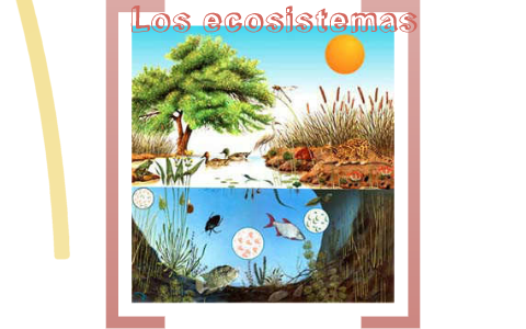 LOS ECOSISTEMAS by Andres Sanchez on Prezi
