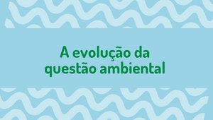 A Evolução Da Questão Ambiental E Suas Repercussões No Ambiente ...