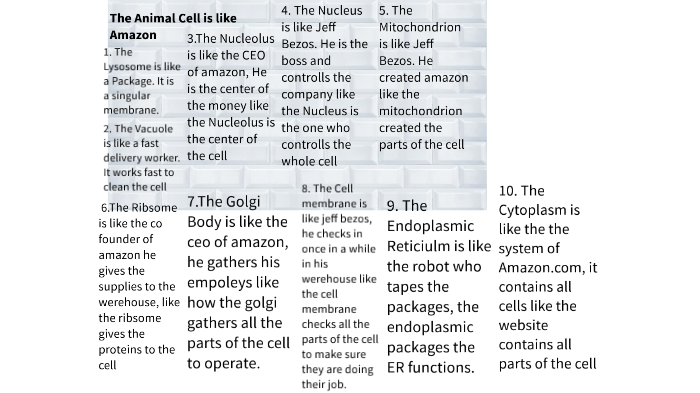 Animal Cell by TMS2020 Anthony D on Prezi