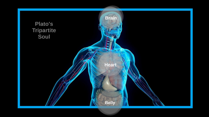 Plato's Tripartite Soul by George Weiss on Prezi