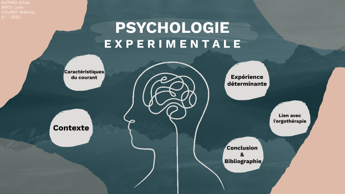 experimental analyse psychologie