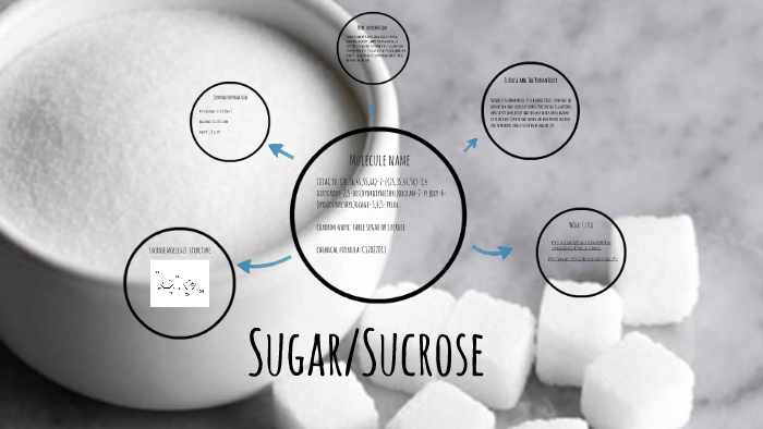 Sugar by lily akersten on Prezi
