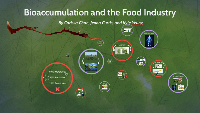 How Bioaccumulation Might Affect The Food Industry by jenna curtis on Prezi Biology Diagrams