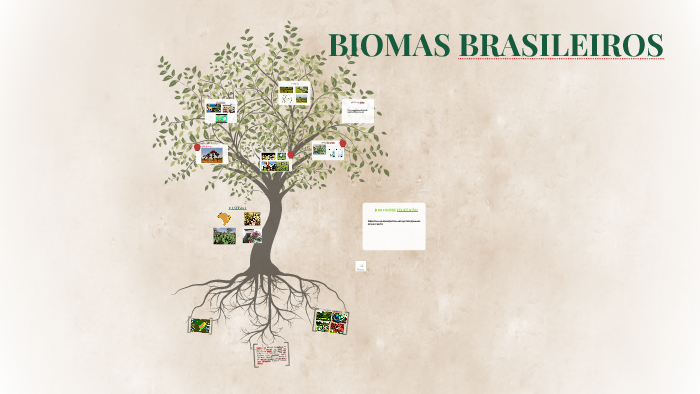 BIOMAS BRASILEIROS by Conceição Fontolan on Prezi