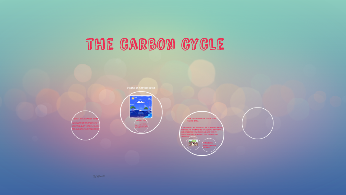 the carbon cycle by mariah gutierrez on Prezi