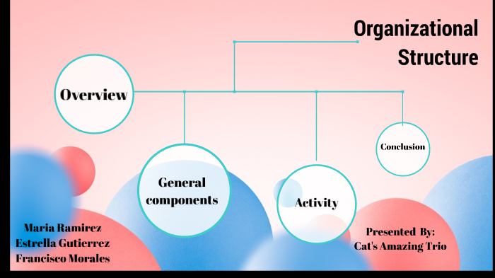 Organizational Structure by Maria Ramirez on Prezi
