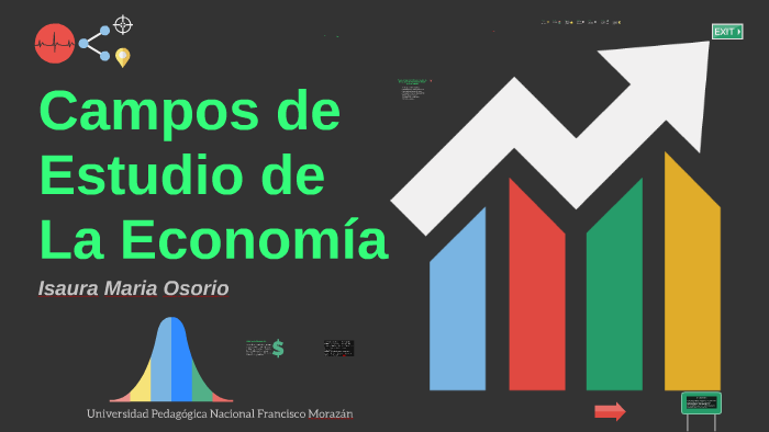 Campo De Estudio De La Economia