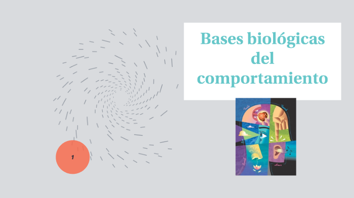 Bases Biológicas Del Comportamiento By Damaris Karla On Prezi