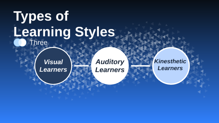 Types of Learning Styles by Savannah Hamilton on Prezi