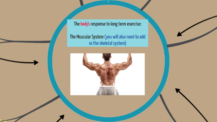 Unit 2 Muscular system - LT effects of exercise by JANET REILLY on Prezi