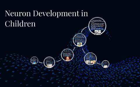 Neuron Development in Children by Rachel Gillespie on Prezi