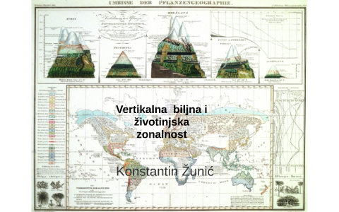 Vertikalna biljna i životinjska zonalnost by Konstantin Zunic on Prezi