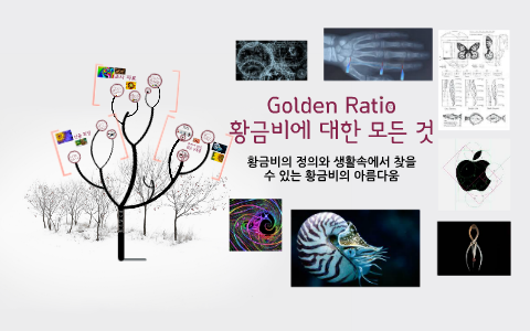 Golden Ratio 2 by Marissa Teacher on Prezi