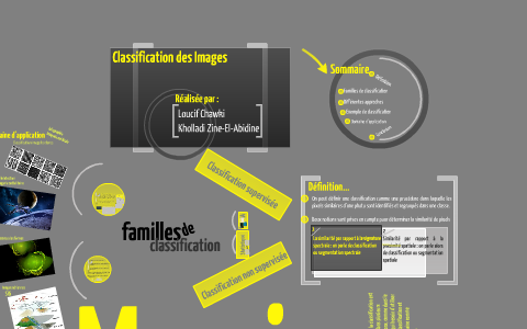 Classification des images (Version2) by zino khol on Prezi