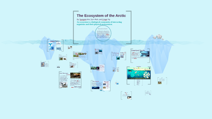 The Ecosystem of the Arctic. by Sam Park on Prezi