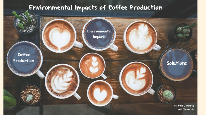 Environmental Impacts Of Coffee Production By Stephanie Wallis On Prezi