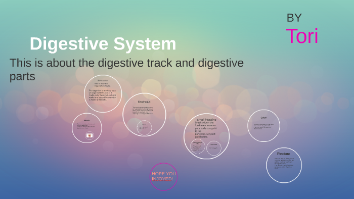 Digestive System by Tori Mertes on Prezi