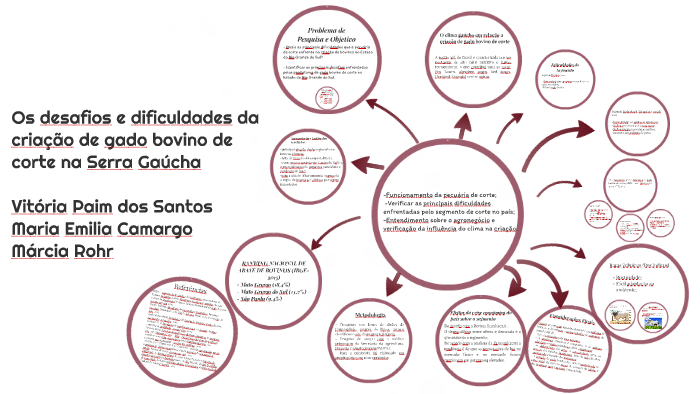 Os Desafios E Dificuldades Da Criação De Gado Bovino De Cort By Vitória Paim On Prezi 1535