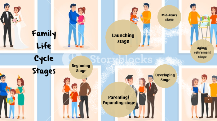 family-life-cycle-by-lorena-santiago-vargas