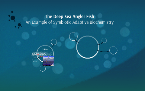 The Deep Sea Angler Fish by Celine Tessier on Prezi