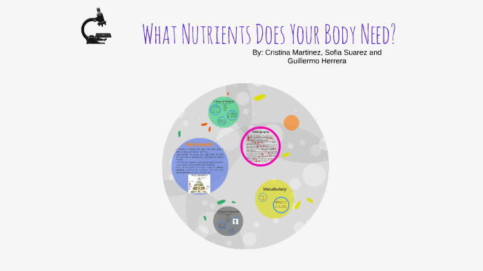 what-nutrients-does-your-body-need-by-cristina-martinez-on-prezi-next