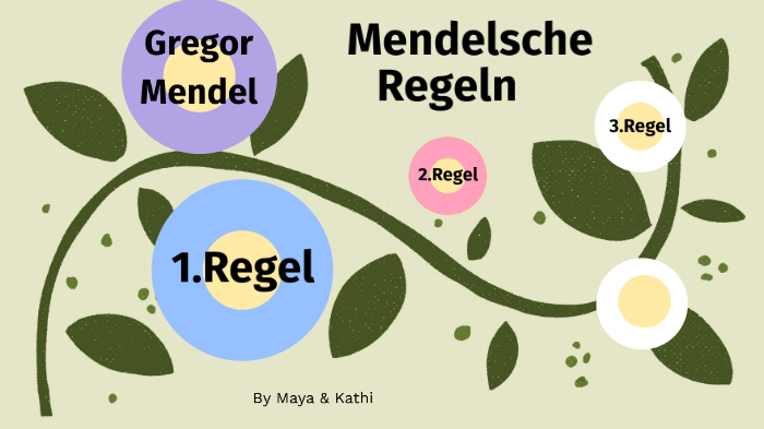 übungen Zu Den Mendelschen Regeln Mendelsche Regeln by Katharina S. on Prezi