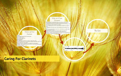Posture and Reed Placement by Lilli Matern on Prezi