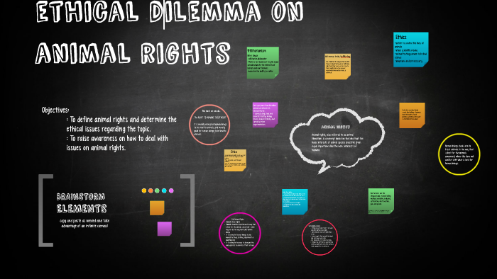ethical dilemma on animal rights by Mary Ann Esteban