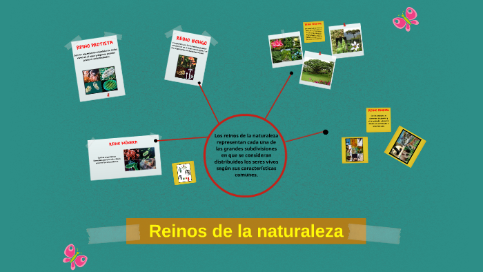 Reinos de la naturaleza by Mayerli Castillo on Prezi