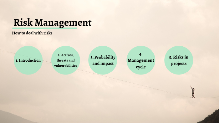 Risk Management by on Prezi