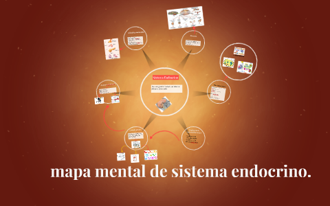 mapa mental de by rocio hernandez