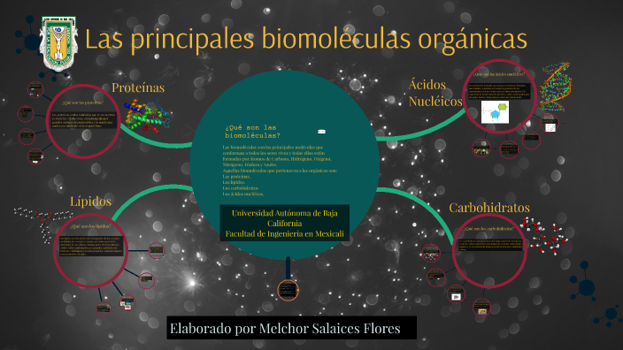 Principales Biomoléculas by melchor salaices flores