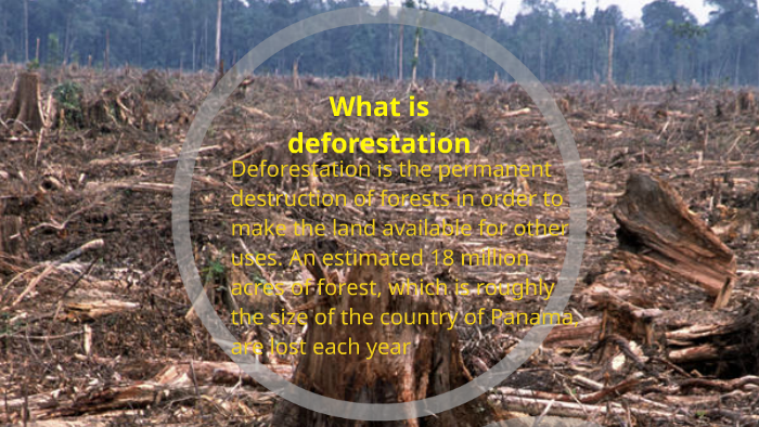 What is deforestation by gordon guenette on Prezi